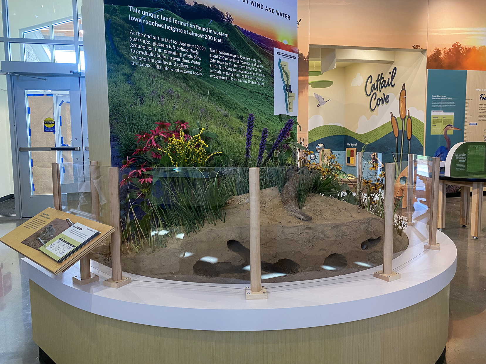 A detailed depiction of soil and plant life. 